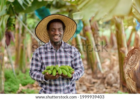 Smiling farmer with fresh bananas on plantation