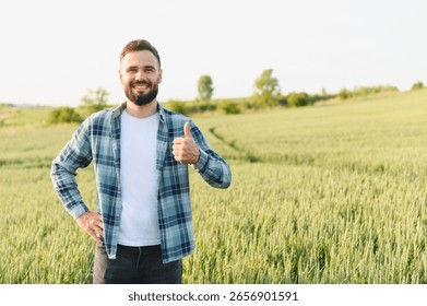 Smiling farmer gesturing thumbs up while standing in a wheat field, expressing satisfaction with the crop growth before harvest