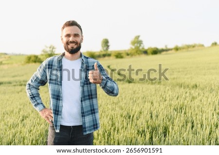 Smiling farmer gesturing thumbs up while standing in a wheat field, expressing satisfaction with the crop growth before harvest
