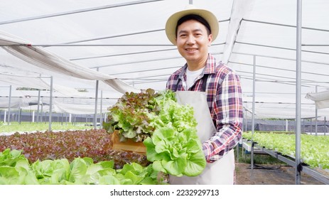 Smiling farmer holding a box of fresh vegetables Red Oak Lettuce ,Green Oak Lettuce in an organic vegetable farm. - Powered by Shutterstock