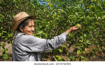 Granjero sonriente que recoge un limón de un árbol en una granja ecológica y sostenible del limón