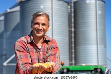 Smiling Farmer Showing Freshly Harvested Corn Maize Grains in front of Farm Grain Bins. Farmer's Hands Holding Harvested Grain Corn. Happy Farmer with Corn Kernels in his Hands Looking at Camera.