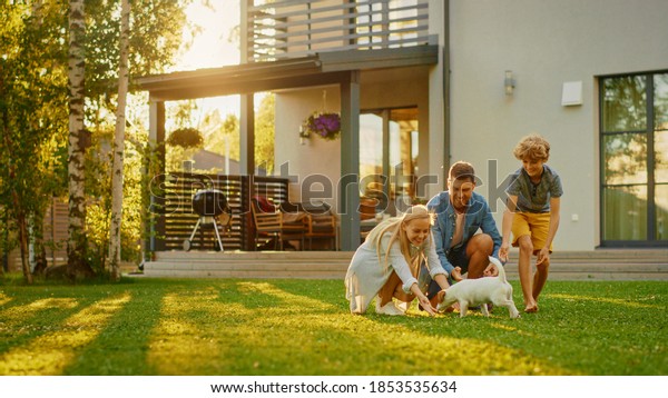 Smiling Father, Mother and Son Pet and Play with\
Smooth Fox Terrier Retriever Dog. Sun Shines on Idyllic Happy\
Family with Loyal Pedigree Dog have Fun at the Idyllic Suburban\
House Backyard