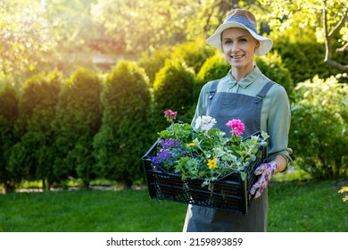smiling female gardener holding crate with colorful ornamental flowers. gardening services. copy space