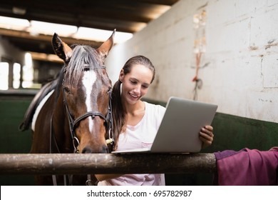 horse computer