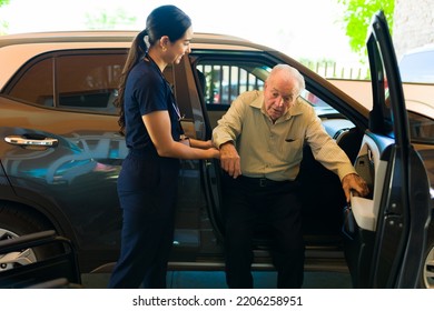 Smiling Female Nurse Helping A Retired Old Man In His 80s Getting Out Of The Car While Arriving For Admission To A Retirement Home