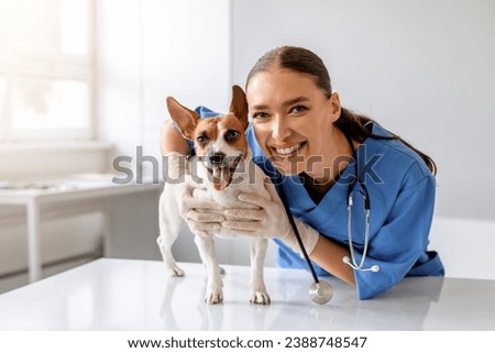 Smiling female veterinarian in blue scrubs holding and examining cheerful small brown and white dog, looking at camera in clinic interior