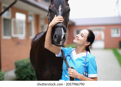 Smiling Female Veterinarian Stroking Black Horse Closeup