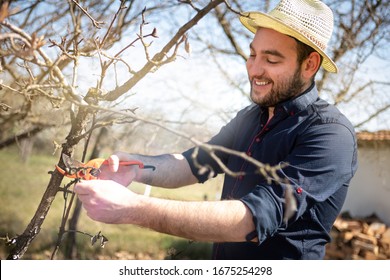 Smiling gardener pruning a tree or plant in nursery