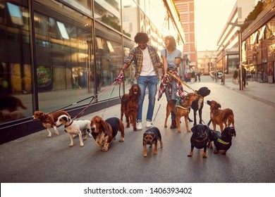 Smiling Girl And Man Dog Walker In The Street With Lots Of Dogs
