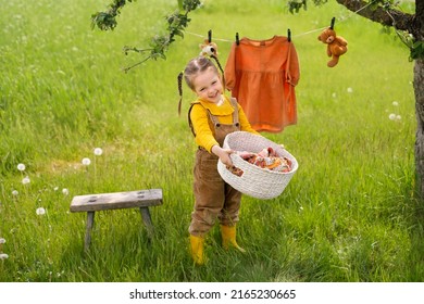 Smiling girl is standing with basket of clean wet laundry in garden in yard. Kid helps hang clothes and soft plush toys on clothesline under tree. laundry of clothes with hypoallergenic baby detergent