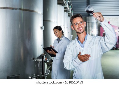 Smiling glad efficient man worker wearing uniform standing with glass of wine in fermenting section on winery manufactory - Shutterstock ID 1018510453