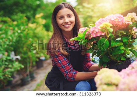 Similar – hydrangeas Nature Plant