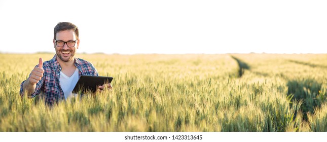 Smiling happy young farmer or agronomist using a tablet in a wheat field. Showing thumbs-up and looking directly at camera. Wide angle panoramic photo. Organic farming and healthy food production