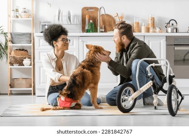 Smiling interracial couple petting handicapped dog near wheelchair in kitchen - Powered by Shutterstock