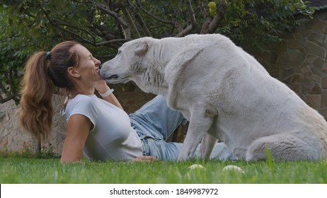 Smiling Lady Taking Free Time With Her Dog. Woman Relaxing In The Nature With Her Big Dog. Scratching Her Back. Dog Licking Her Owner Nose. Closeup.