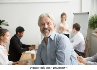 Smiling Male Senior Team Leader, Aged Teacher Looking At Camera With Office People At Background, Happy Old Gray-haired Company Boss, Experienced Mentor Or Executive Professional Head Shot Portrait