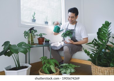 Smiling Man Asian In Apron Sitting On Cozy Sofa Watering Plant  In Green House. Best Hobby In Weekend.