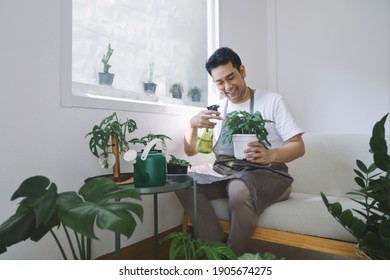 Smiling Man Asian In Apron Sitting On Cozy Sofa Watering Plant  In Green House. Best Hobby In Weekend.