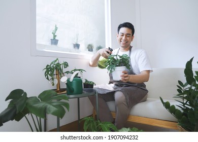 Smiling Man Asian In Apron Sitting On Cozy Sofa Packing Little Plant In The Box In Green House.