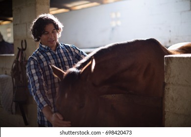 Smiling man caressing the brown horse in the stable - Powered by Shutterstock