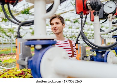 Smiling man experienced plantation worker in overalls working with eco farm with aquaponics system and irrigation system. Technology in agriculture. Gardening, profession and people concept.