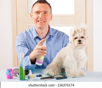 Smiling Man Grooming A Dog Purebreed Maltese.