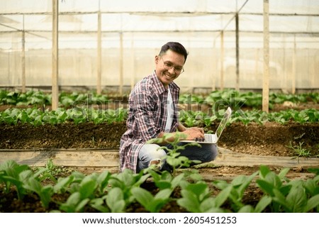 Smiling man inspecting rows of leafy green vegetables and using laptop