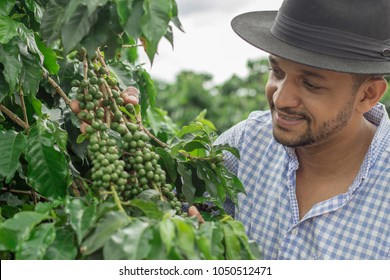 15,366 Colombia coffee Images, Stock Photos & Vectors | Shutterstock