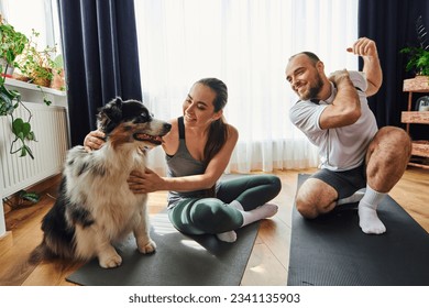 Smiling man warming up near girlfriend in sportswear petting border collie on fitness mat at home - Powered by Shutterstock