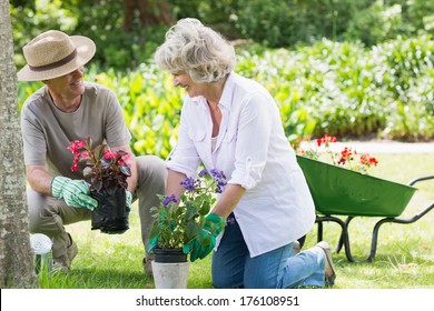 Smiling mature couple engaged in gardening - Powered by Shutterstock