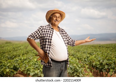 Smiling mature farmer showing a grapevine field in the back - Shutterstock ID 2202114009