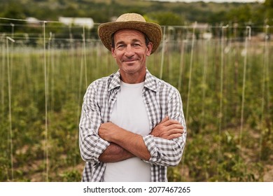Hombre maduro sonriente con sombrero de paja y camisa enmarañada doblando los brazos mientras estaba de pie en su propia granja y mirando la cámara