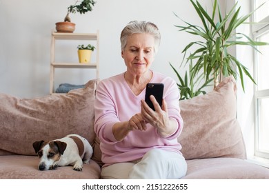 Smiling Mature Woman Holding Phone, Using Mobile Device Apps, Looking At Screen, Happy Older Female Chatting Online,  Writing Message On Cellphone, Having Fun At Home, Sitting On Couch With Dog
