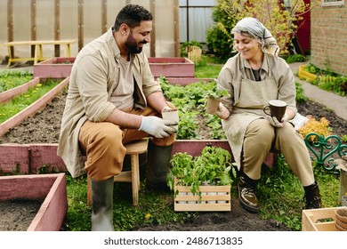 Smiling mature woman with potted seedling and cup of coffee discussing new sort of strawberry with her husband during lunch break - Powered by Shutterstock