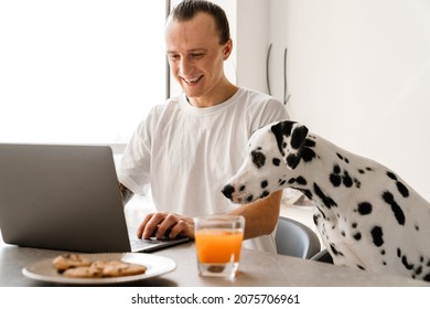 Smiling mid aged man working on laptop computer while sitting at the kitchen wit his dog, having breakfast
