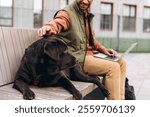 Smiling middle aged man working, using laptop, sitting on bench, petting black pet, dog, on the street, near university campus, selective focus. Animal love concept