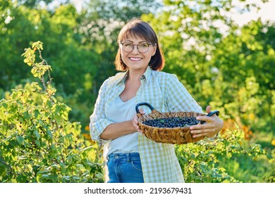 Smiling middle aged woman holding basket of ripe blackcurrants - Powered by Shutterstock