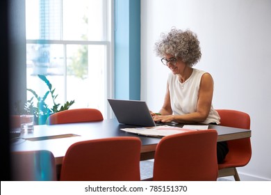 Smiling Middle Aged Woman Working Alone In Office  Boardroom