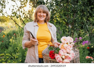 A smiling middle-aged woman cuts roses and puts them in a wicker basket. A happy pensioner takes care of flowers in the garden of the house. A mature woman in casual clothes enjoys her hobby - Powered by Shutterstock