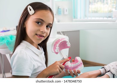 Smiling Mixed Race Girl Holding Human Teeth Model Sitting At Dental Office. Child Showing Right Way Brushing Teeth