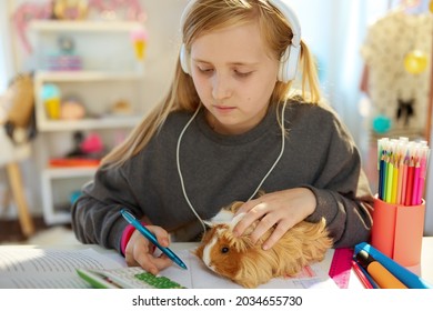 smiling modern child with headphones and guinea pig homeschooling at home in sunny day.