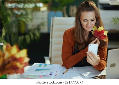 Smiling Modern Middle Aged Small Business Owner Woman With Autumn Yellow Leaves And Smartphone Having Virtual Meeting In The Modern Green Office.