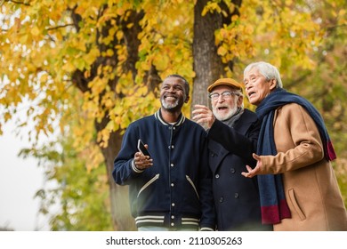 Smiling multiethnic senior men with smartphone looking away in autumn park - Powered by Shutterstock