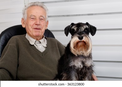 Smiling Old Man And  Black Miniature Schnauzer Dog