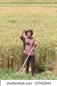 Smiling Old Man Farmer In Barley Field Holding Fork And Waving His Hand