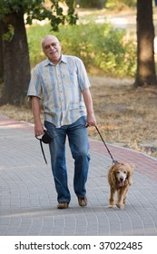 Smiling Old Senior Relaxing In Park, And Having Fun With His Dog.