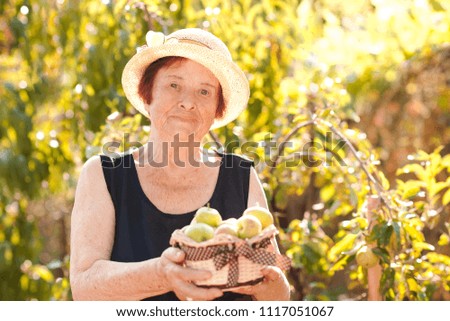 Smiling old woman with green apples outdoors. Looking at camera. 70s.