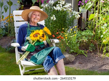 Smiling Old Woman With Hat  Apron And Gloves For Gardening Sitting On A White Chair Holding A Bouquet Of Sunflowers  Looking At The Camera.