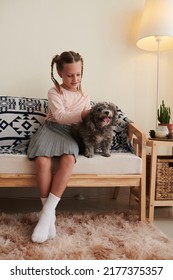 Smiling preteen girl with braided hair patting little dog